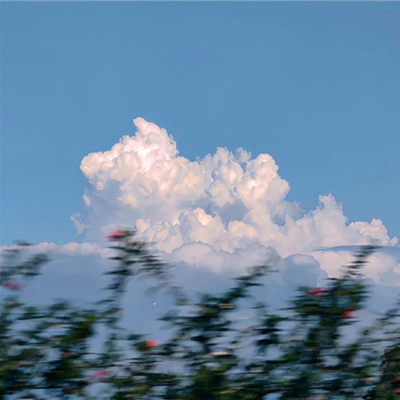 宠物知识发朋友圈